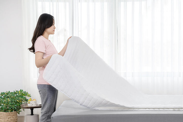 Mattress Protector